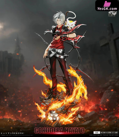 Katekyo Hitman Reborn Standing Series 002 Hayato Gokudera 1/6 GK Statue Floating Light Studio [Pre Order] Others
