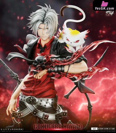 Katekyo Hitman Reborn Standing Series 002 Hayato Gokudera 1/6 GK Statue Floating Light Studio [Pre Order] Others