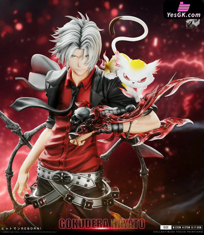 Katekyo Hitman Reborn Standing Series 002 Hayato Gokudera 1/6 GK Statue Floating Light Studio [Pre Order] Others
