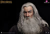 Lord of the Rings Gandalf The Grey 1/6 Action Figure - INART [In-Stock] Full Payment Others