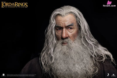 Lord of the Rings Gandalf The Grey 1/6 Action Figure - INART [In-Stock] Full Payment Others