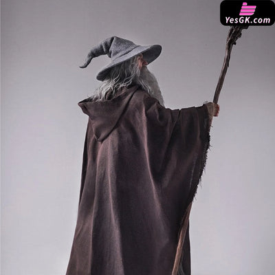 Lord of the Rings Gandalf The Grey 1/6 Action Figure - INART [In-Stock] Full Payment Others