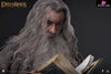 Lord of the Rings Gandalf The Grey 1/6 Action Figure - INART [In-Stock] Full Payment Others