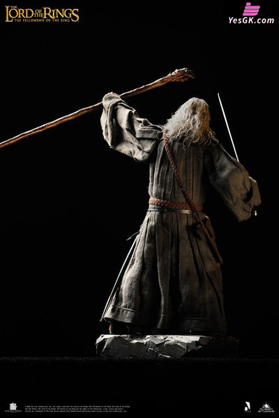 Lord of the Rings Gandalf The Grey 1/6 Action Figure - INART [In-Stock] Full Payment Others