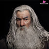 Lord of the Rings Gandalf The Grey 1/6 Action Figure - INART [In-Stock] Full Payment Others