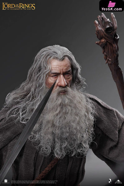 Lord of the Rings Gandalf The Grey 1/6 Action Figure - INART [In-Stock] Full Payment Others