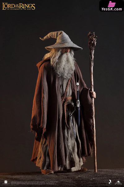 Lord of the Rings Gandalf The Grey 1/6 Action Figure - INART [In-Stock] Full Payment Others