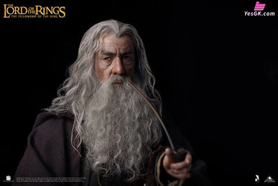 Lord of the Rings Gandalf The Grey 1/6 Action Figure - INART [In-Stock] Full Payment Others
