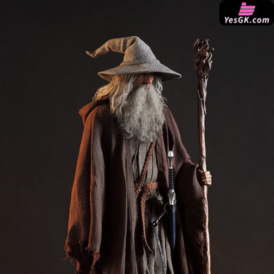 Lord of the Rings Gandalf The Grey 1/6 Action Figure - INART [In-Stock] Full Payment Others