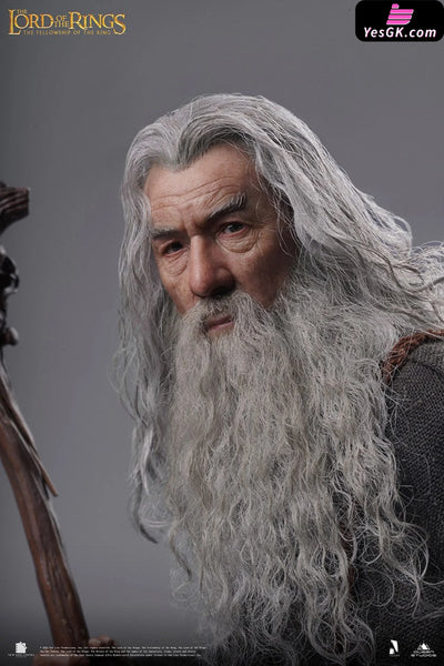 Lord of the Rings Gandalf The Grey 1/6 Action Figure - INART [In-Stock] Full Payment Others