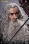 Lord of the Rings Gandalf The Grey 1/6 Action Figure - INART [In-Stock] Full Payment Others