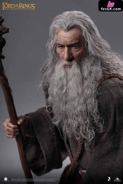 Lord of the Rings Gandalf The Grey 1/6 Action Figure - INART [In-Stock] Full Payment Others