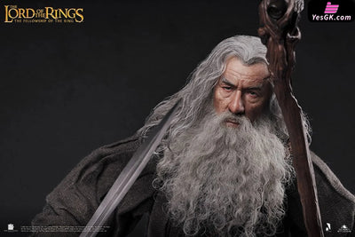 Lord of the Rings Gandalf The Grey 1/6 Action Figure - INART [In-Stock] Full Payment Others