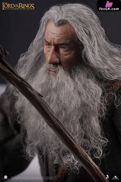 Lord of the Rings Gandalf The Grey 1/6 Action Figure - INART [In-Stock] Full Payment Others