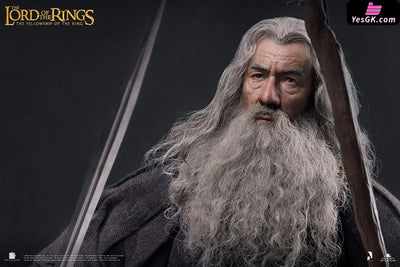 Lord of the Rings Gandalf The Grey 1/6 Action Figure - INART [In-Stock] Full Payment Others