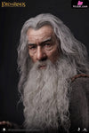 Lord of the Rings Gandalf The Grey 1/6 Action Figure - INART [In-Stock] Full Payment Others