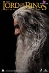 Lord of the Rings Gandalf The Grey 1/6 Action Figure - INART [In-Stock] Full Payment Others
