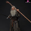 Lord of the Rings Gandalf The Grey 1/6 Action Figure - INART [In-Stock] Full Payment Others