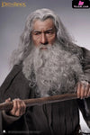 Lord of the Rings Gandalf The Grey 1/6 Action Figure - INART [In-Stock] Full Payment Others