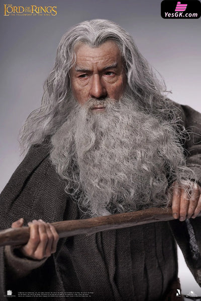 Lord of the Rings Gandalf The Grey 1/6 Action Figure - INART [In-Stock] Full Payment Others