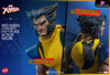 Marvel Hs06 X-Men Wolverine (No Mask Version) (Licensed) Statue - Hono Studio [Pre-Order] Marvel