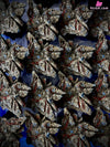 Monster Hunter Series 008 Valstrax GK Statue - S6 Studio [In-Stock] Monster Hunter
