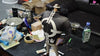 One Piece Bartholomew Kuma GK Statue - Ghost Studio & Long Hu Studio [Pre-Order] - One Piece