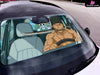 One Piece Car front sunshade Zoro Peripheral - Plover Studio [Pre-Order] One Piece