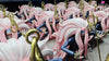 One Piece CP Series #9 Kumadori GK Statue - Long Hu Studio [In-Stock] - One Piece