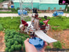 One Piece Crew Ships Series #12 Flying Merry Statue - M4 Studio [In-Stock] - Full Payment - One Piece
