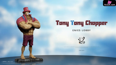 One Piece Famous Scenes Series Enies Lobby Arc #2 Chopper & #3 Sanji pop GK Statue - Dream Lab Studio [Pre-Order] One