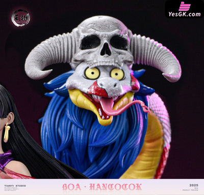 One Piece Female Character 1st Captive Arrow Boa Hancock GK Statue - Tianyi Studio [Pre-Order Closed] Full Payment