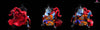 One Piece Jinbe Statue - A+ Studio [Pre-Order]