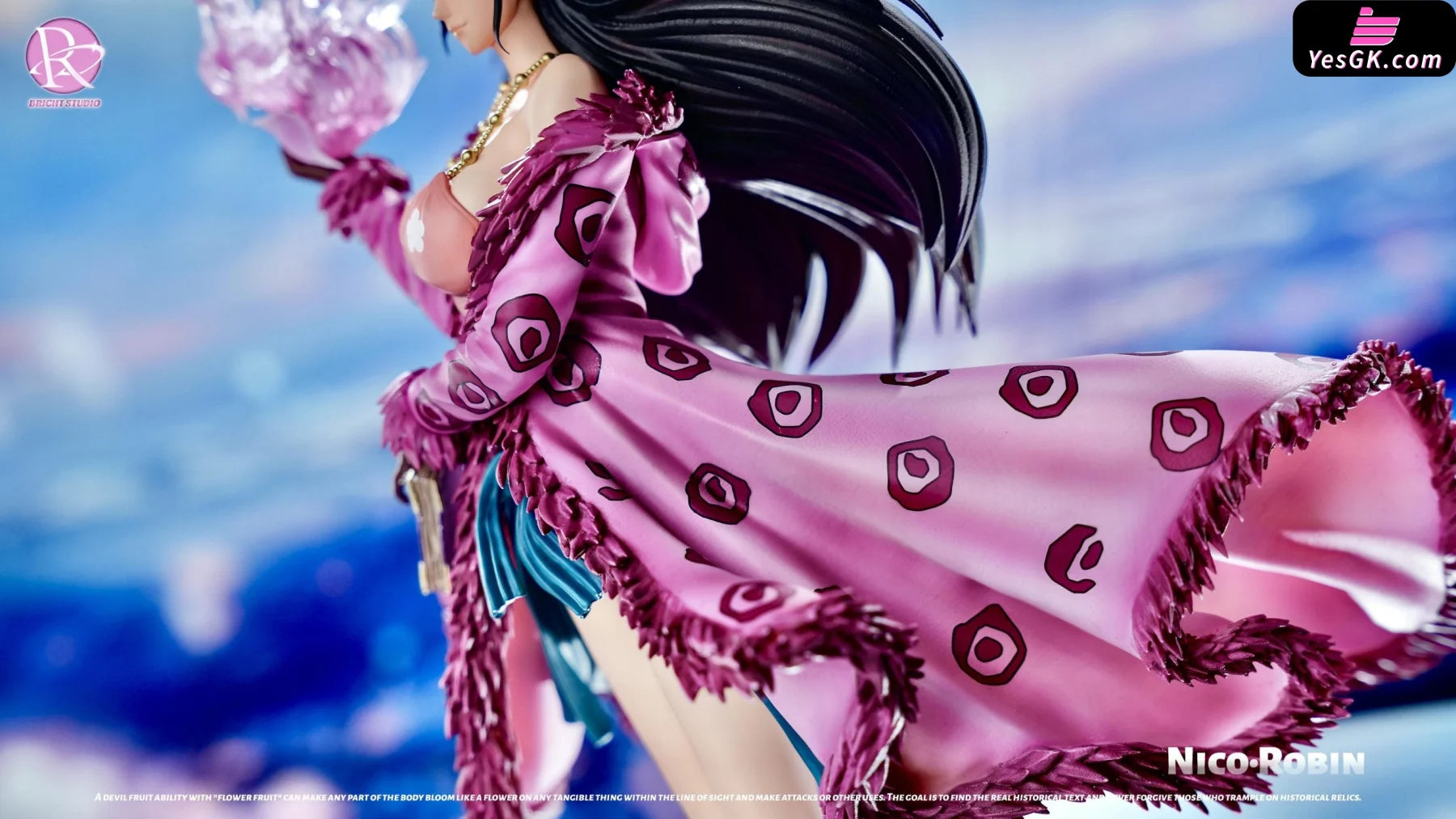 one-piece-punk-hazard-robin-