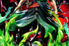 One Piece Straw Hat Pirates Series #1 Zoro GK Statue - SY Studio [Pre-Order] One Piece