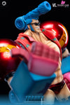One Piece Straw Hat Pirates Two Years Later #9 Franky GK Statue - C2 Studio [Pre-Order] - One Piece