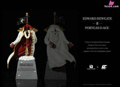 One Piece Tomb Of Edward Newgate Portgas D. Ace Resin Statue - Cube Studio & Pz Studio [Pre - Order]