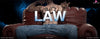 One Piece Trafalgar D. Water Law Resin Statue - Bird Stay Studio [Pre-Order]
