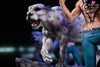 One PieceTrafalgar D. Water Law Statue - HS Studio [In-Stock] One Piece