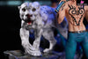 One PieceTrafalgar D. Water Law Statue - HS Studio [In-Stock] One Piece