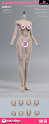 Original 1/6 super movable steel bone LSR Korean girl group body (Licensed) Figure - Puzzletoys Studio [Pre-Order