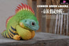 Original 2024 Common Green Iguana (Licensed) Statue - Natural Science Book Studio [Pre-Order] Original Design