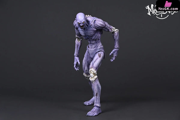 Original Adventurer World Series Necromancer Baron Salman MT202404 Original Adventurer World Series Necromancer Baron Salman MT202404