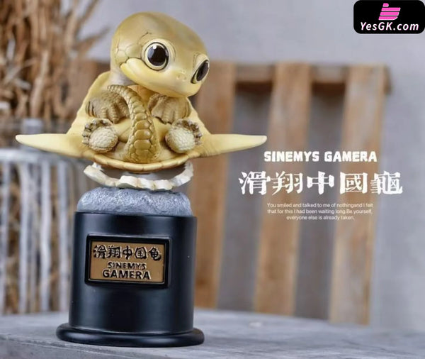 Original Ancient Turtle Statue - Natural Science Book Studio [In-Stock] - Original Design