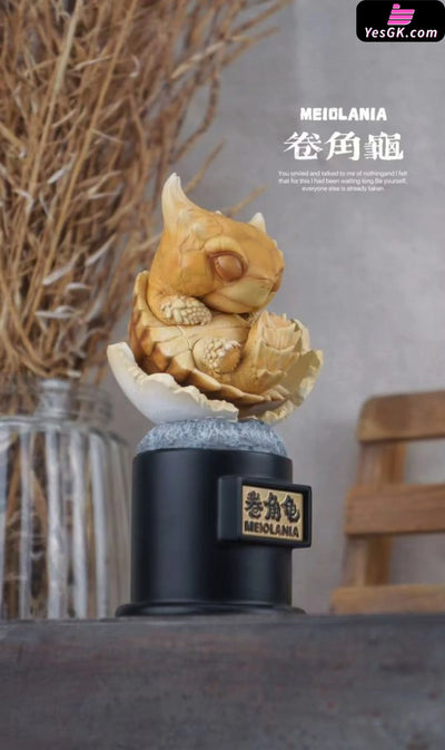 Original Ancient Turtle Statue - Natural Science Book Studio [In-Stock] - Original Design