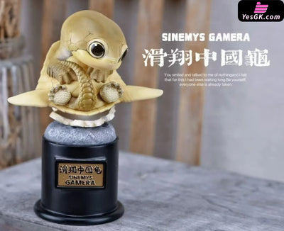 Original Ancient Turtle Statue - Natural Science Book Studio [In-Stock] - Full Payment / Gliding Chinese Turtle
