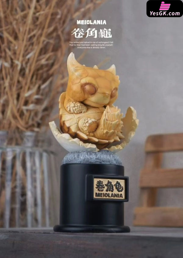 Original Ancient Turtle Statue - Natural Science Book Studio [In-Stock] - Full Payment / Meiolania - Original Design