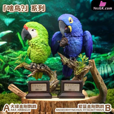 Original Bird Series Ara Ambigua & Anodorhynchus Hyacinthinus Figure - Animal BangBang Studio [In-Stock] - Original
