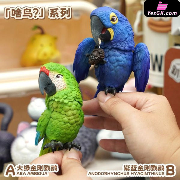 Original Bird Series Ara Ambigua & Anodorhynchus Hyacinthinus Figure - Animal BangBang Studio [In-Stock] - Original