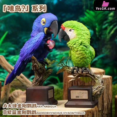 Original Bird Series Ara Ambigua & Anodorhynchus Hyacinthinus Figure - Animal BangBang Studio [In-Stock] - Full Payment
